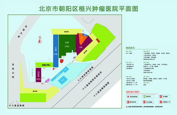 操老骚逼逼北京市朝阳区桓兴肿瘤医院平面图